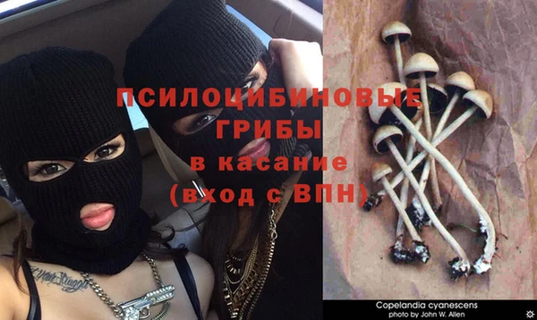 дурь Верхнеуральск