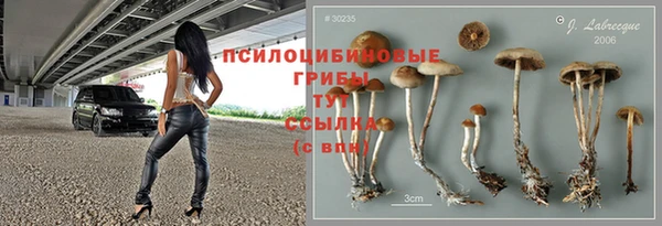 индика Хадыженск